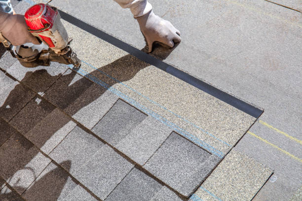 Best Roof Gutter Cleaning  in Belford, NJ