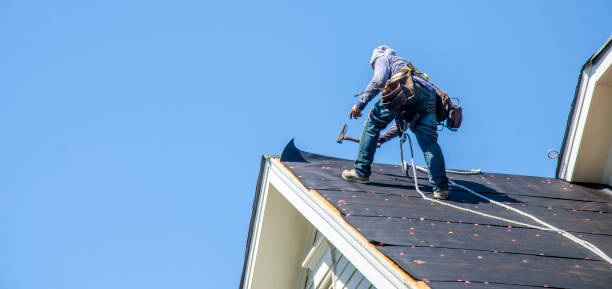 Best Storm Damage Roof Repair  in Belford, NJ